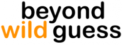 beyond wild guess Logo